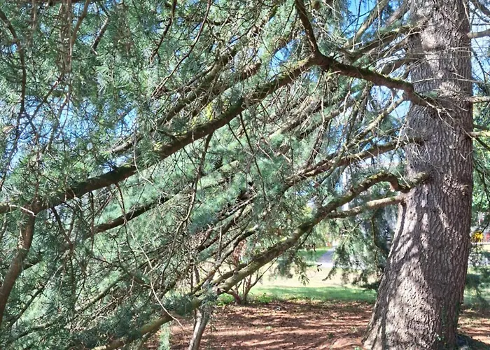 La Cressonnière 56